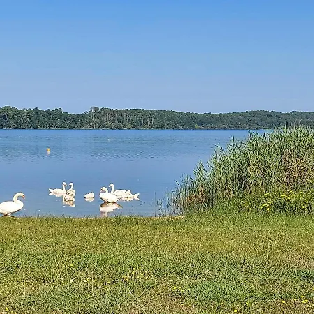 T2, 50m Du Lac, Piscine, Wifi, Jardin Terrasse Sans Vis-a-vis, 1 A 4 Pers Apartment Aureilhan (Landes)