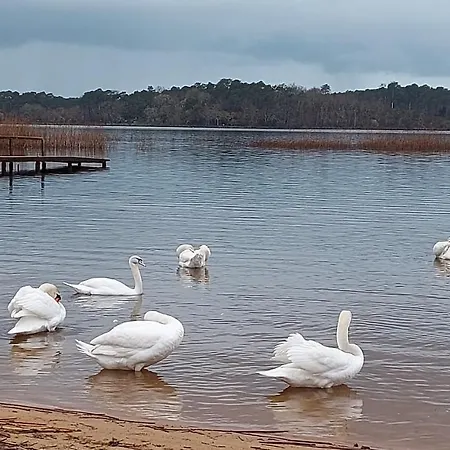 T2, 50m Du Lac, Piscine, Wifi, Jardin Terrasse Sans Vis-a-vis, 1 A 4 Pers