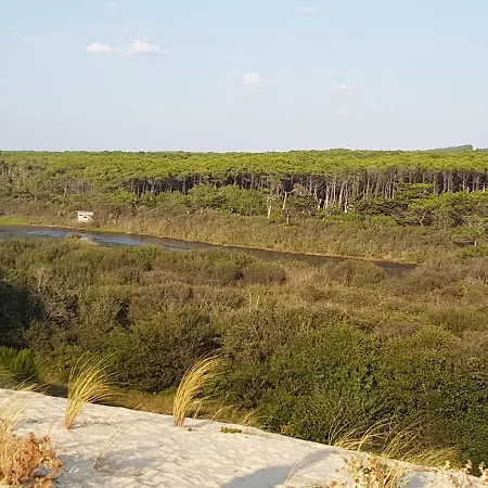 公寓 T2, 50m Du Lac, Piscine, Wifi, Jardin Terrasse Sans Vis-a-vis, 1 A 4 Pers 欧雷扬