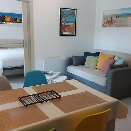 T2, 50m Du Lac, Piscine, Wifi, Jardin Terrasse Sans Vis-a-vis, 1 A 4 Pers Apartment