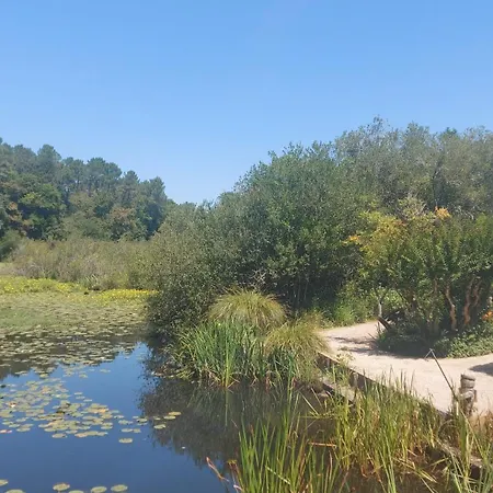 T2, 50m Du Lac, Piscine, Wifi, Jardin Terrasse Sans Vis-a-vis, 1 A 4 Pers