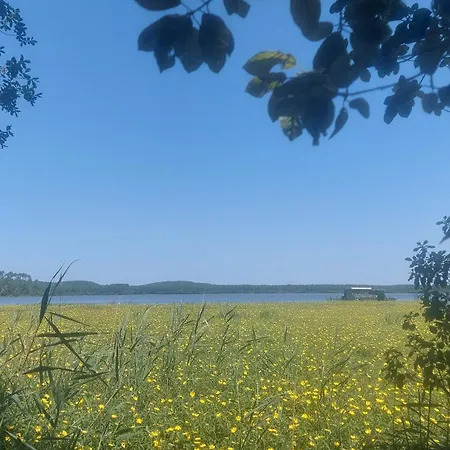 Apartment T2, 50m Du Lac, Piscine, Wifi, Jardin Terrasse Sans Vis-a-vis, 1 A 4 Pers