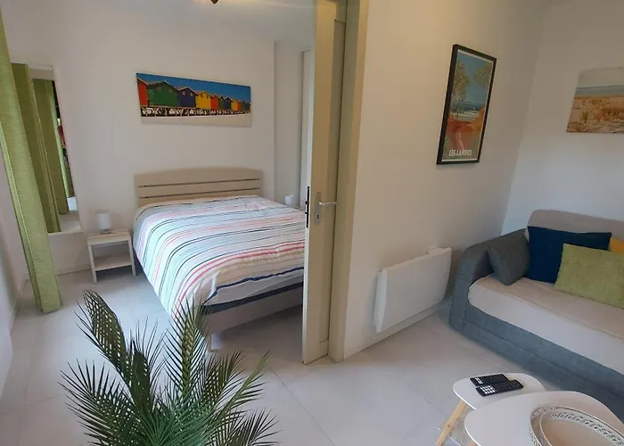 T2, 50m Du Lac, Piscine, Wifi, Jardin Terrasse Sans Vis-à-vis, 1 à 4 Pers Aureilhan (Landes)